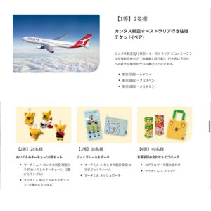 オーストラリア行きペア往復航空券 他