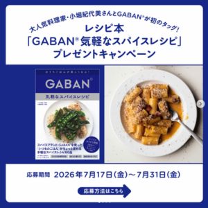 レシピ本「GABAN気軽なスパイスレシピ」＆GABAN 3品セット 他