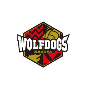 ウルフドッグス選手サイン入エコバッグ 他