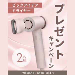 Karen Bloom FlowDryer（フロードライヤー）