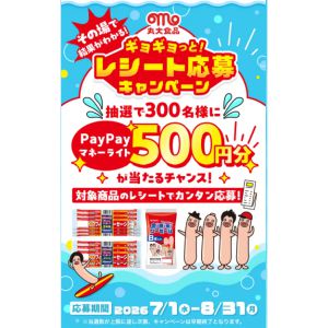 PayPayマネーライト 500円分