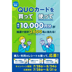 ローソン専用QUOカードPay1万円分 他