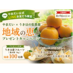 福岡県産 豊水梨3kg