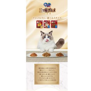 銀のスプーン三ツ星グルメお好きな現品1箱