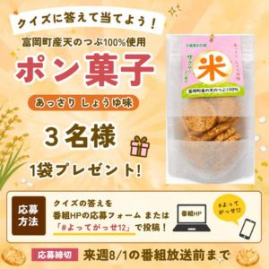ポン菓子 あっさりしょうゆ味 1袋
