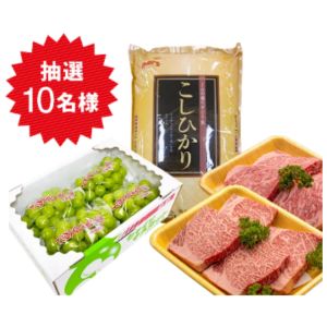 比婆牛など広島の幸詰め合わせ 5万円相当