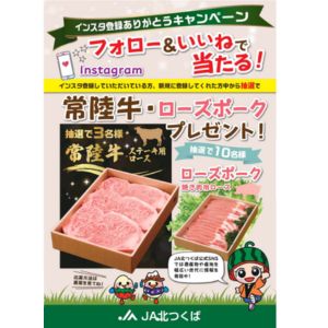 常陸牛ロース ステーキ用 他