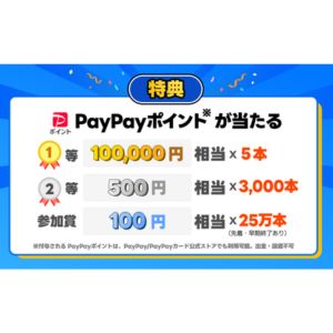 PayPay10万円相当 他