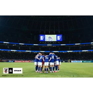 [広島]9/28広島・サッカー日本代表戦チケット