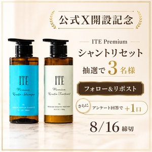 ITE Premiumシャントリセット