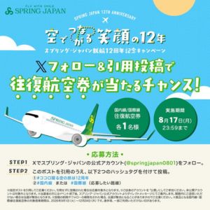国内線または国際線の往復航空券