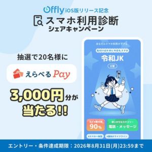 えらべるPay3,000円分