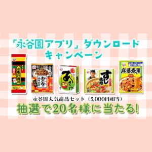 永谷園商品セット 5,000円相当