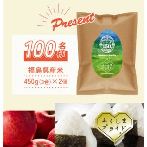 福島県産米（450g×2個）