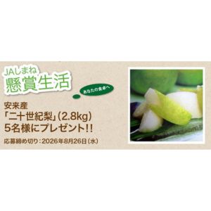 島根県安来産「二十世紀梨」（2.8kg）