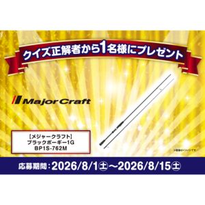 釣り竿 メジャークラフト ブラックポーギー1G BP1S-762M
