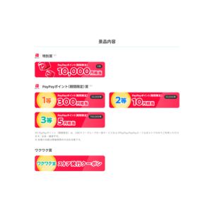 PayPayポイント1万円相当 他