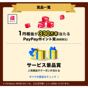 期間限定PayPayポイント1円相当 他