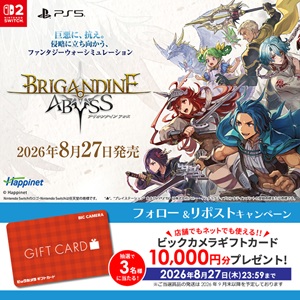 ビックカメラギフトカード1万円分