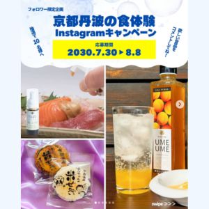 京都丹波産梅ピューレ＆泡しょうゆセット 他