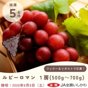 石川県産ぶどう「ルビーロマン」1房