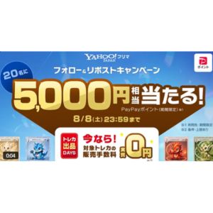 PayPayポイント5,000円相当
