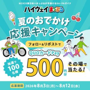 QUOカードPay500円分