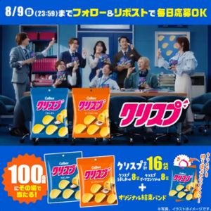 カルビー クリスプ2種 計16袋＆結束バンド