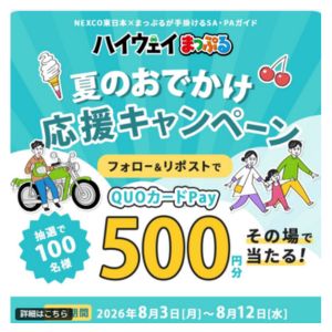 QUOカードPay 500円分