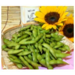 秋田の枝豆 1kg（250g×4袋）