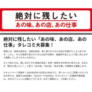 QUOカードPay500円分