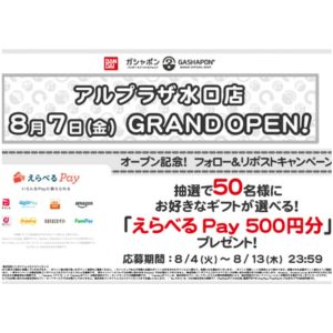 えらべるPay500円分