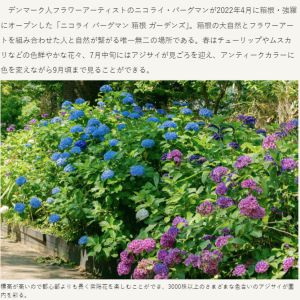 [神奈川県]ニコライバーグマン箱根ガーデンズ入園券
