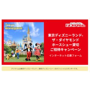 東京ディズニーランド®・1デーパス　1組4名様