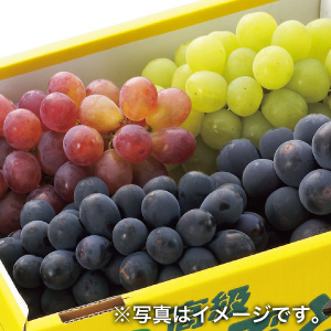 おきたま産ぶどうの詰合せ