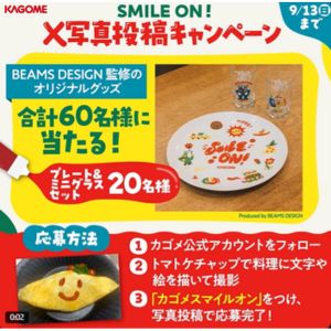 BEAMS DESIGN監修ブランケット 他