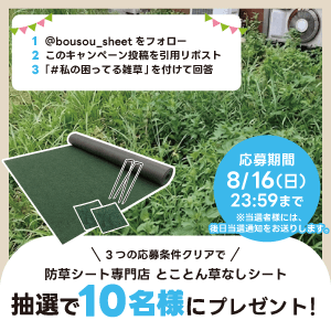 とことん草なしシートフルセット
