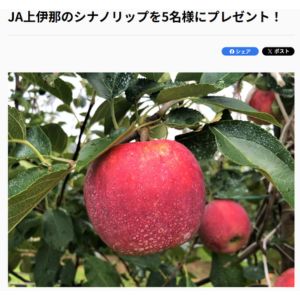 長野県 上伊那産りんご「シナノリップ」