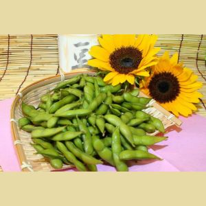 秋田の枝豆 1Kg