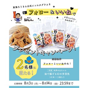 世界の山ちゃん 幻の手羽先30本