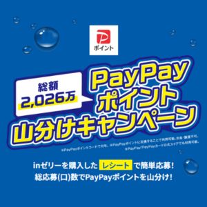 PayPayポイント 最大200ポイント