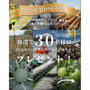 北海道JAようてい産 農産物詰め合わせ