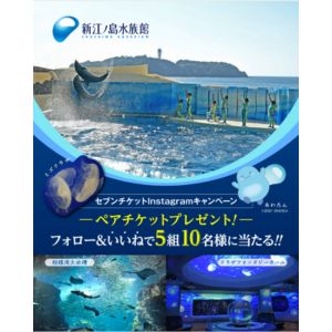 [神奈川]新江ノ島水族館ペア無料チケット