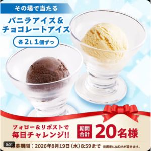 バニラアイス&チョコレートアイス 各2L