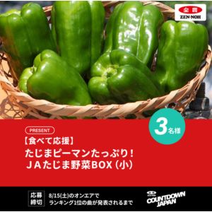 JAたじま野菜BOX(小)
