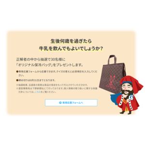 オリジナル保冷バッグ
