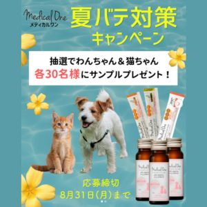 犬用・猫用 夏バテ対策お試しセット
