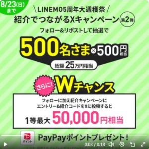 PayPayポイント 500円相当