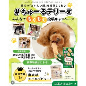 犬用おやつ ちゅ～るテリーヌ 他