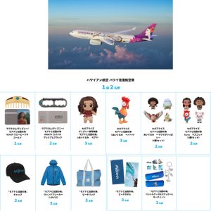 ハワイアン航空ハワイ往復航空券 他